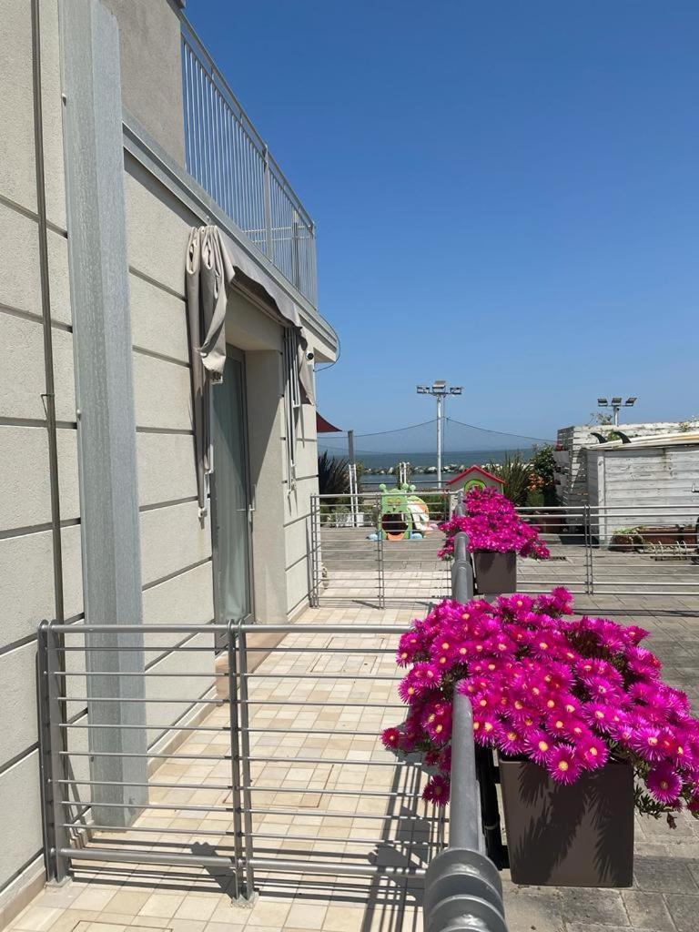 Hotel & Residence Cavalluccio Marino Rimini Exteriör bild